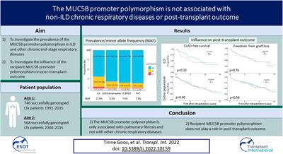 The MUC5B Promoter Polymorphism is Not Associated With Non-ILD Chronic Respiratory Diseases or Post-transplant Outcome